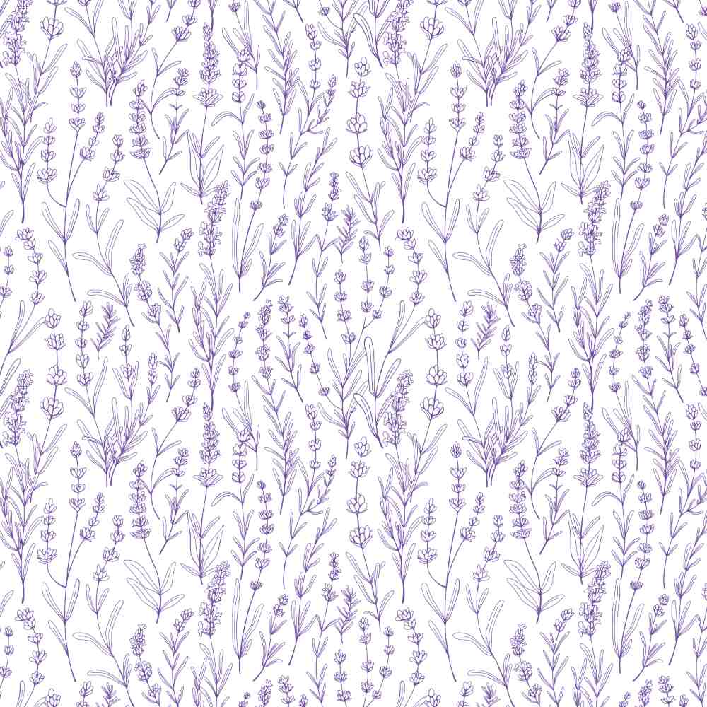 mariage theme boheme lavande