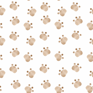 Guimauves personnalisées en sachet – cadeau invité baby shower & gender reveal – Image 10