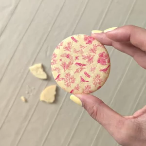 biscuit avec body rose bleu question